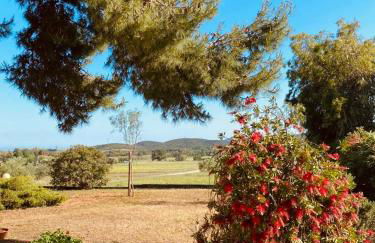 Agricampeggio La Piaggia - Agriturismo - Foto 19