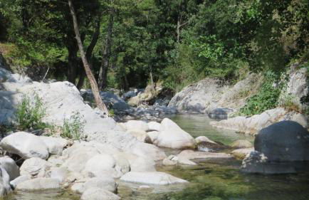 Fattoria Armonia - Foto 26