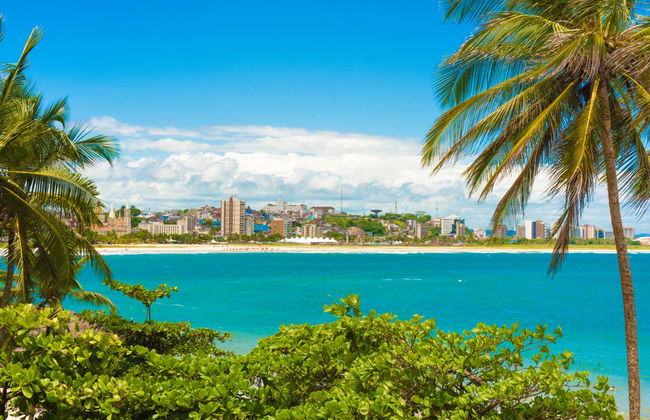 Guided Tour of Ilhéus - Photo 4