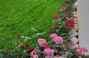 Casale Angela - Foto 22