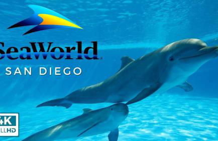 Events Allowed: Sunny Villa| Lake| Trails| Beach - Foto 44