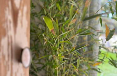 Cigarral Bramasole - Foto 27