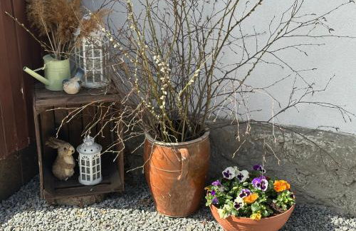 Dom Pod Dębem Agroturystyka - Foto 22