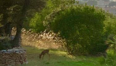 La Farigoule - Sainte-Victoire - Vue exceptionnelle sur Aix-en-Provence - Foto 4