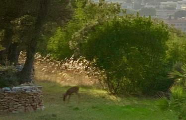 La Farigoule - Sainte-Victoire - Vue exceptionnelle sur Aix-en-Provence - Foto 4