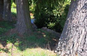 Ferienwohnung in der Grünheck - Foto 39