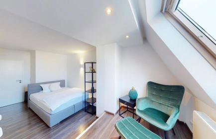 Spacious 4 Bedroom Apartment near City Center - Photo 12