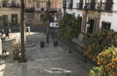 CASA PALACIO en Jerez de la Frontera con piscina privada - Foto 71
