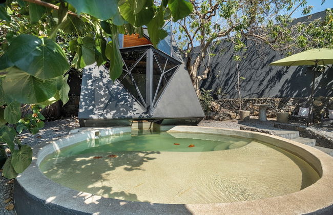 Bosque Geométrico - Foto 71