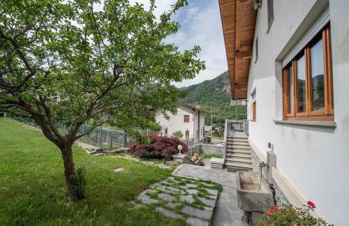 The Green Owl - Foto 32