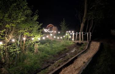 Die Sonnenblume - Foto 8