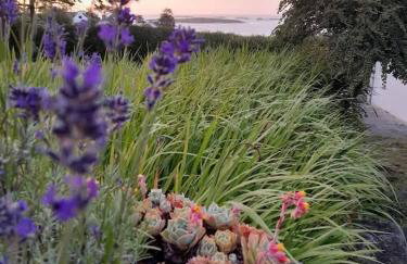 KER HUELLA - Superbe vue mer et accès plage privé - Foto 52