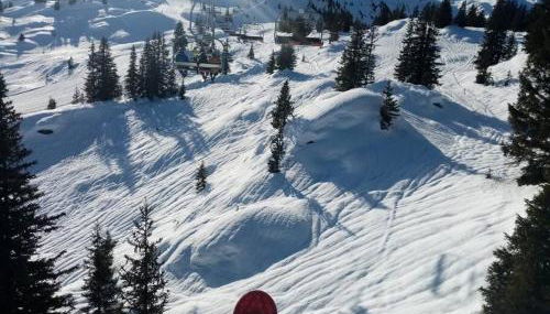L'appartement LES BOSSONS en lisière de forêt dans le chalet Génépi - Foto 3