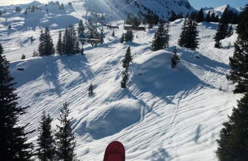 L'appartement LES BOSSONS en lisière de forêt dans le chalet Génépi - Foto 3