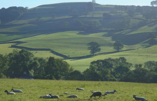 The Linhay - Foto 30