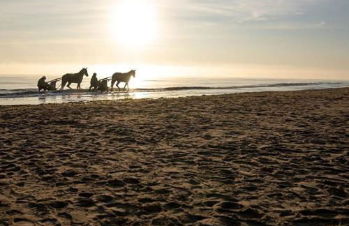 Authentique Maison Normande de village - Foto 53