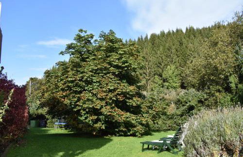 Ferienwohnung Sternkopf - Foto 13