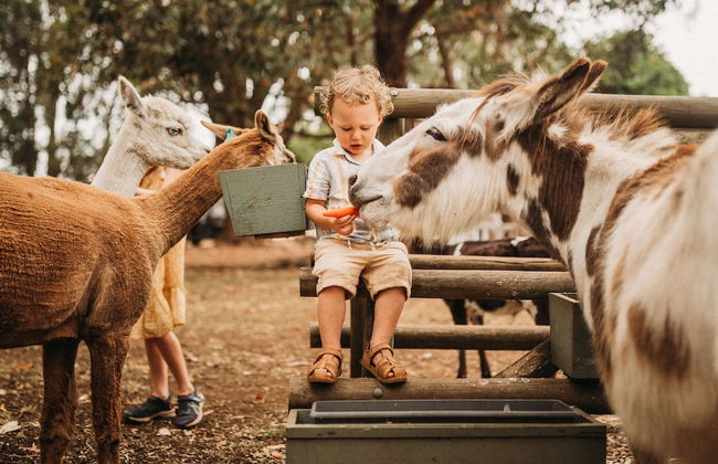 Margaret River Holiday Cottages - Photo 72