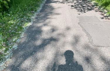 Haus mit Geschichte in Mähring - Foto 23