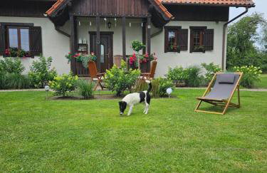 Siedlisko w Starym Sadzie - Foto 2