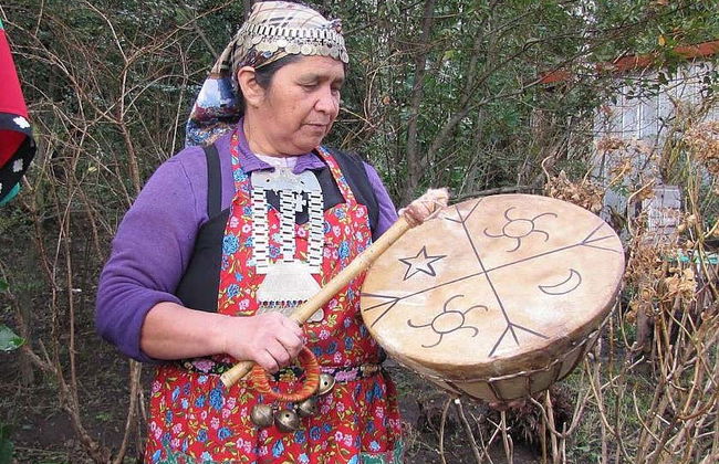 Mapuche Culture Tour - Photo 3