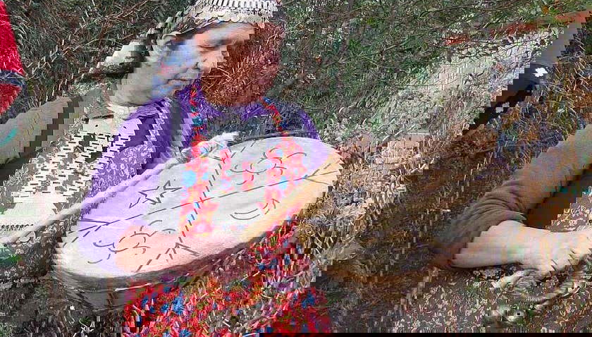 Visite à la découverte de la culture mapuche - Photo 2