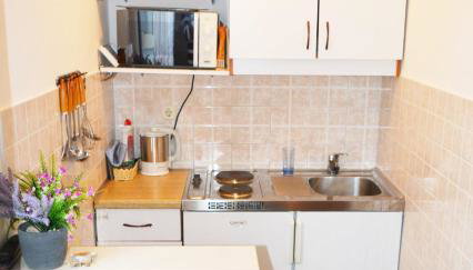 ĆOSIĆ APARTMANI IGRANE - Foto 4