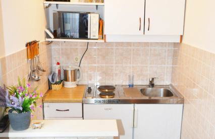 ĆOSIĆ APARTMANI IGRANE - Photo 4