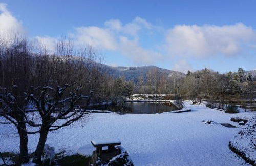 La maison et l'étang de pêche - Foto 2