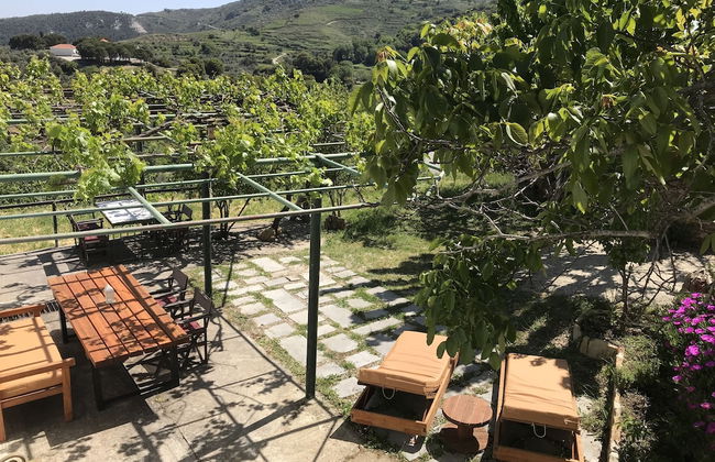 Temenia House - Foto 12