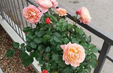 Apartment Vesna - Foto 45