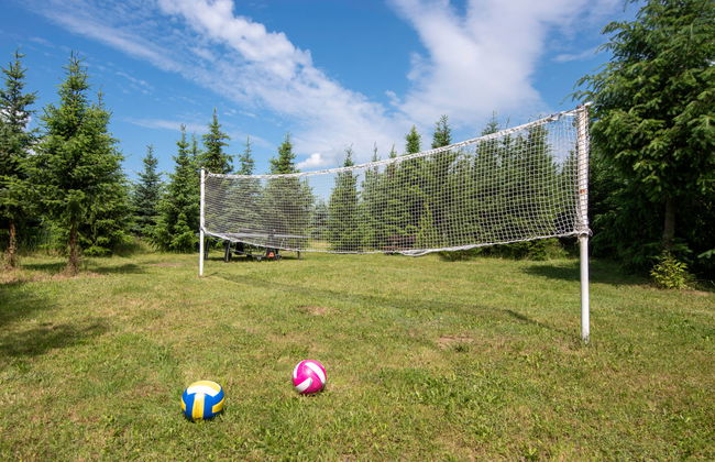 Butterfly Lux - Photo 3