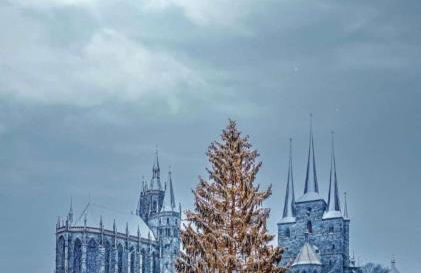 ERFbnb - 40qm Apartment mit Küche, Bad, Schlaf-Wohnzimmer in ERFurt Süd - stadnah- WLAN - Foto 3