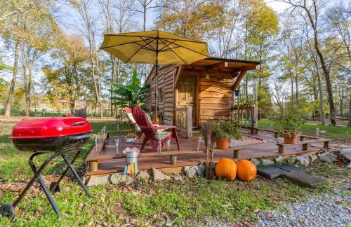 Hillbilly Chic Tiny House Near Nashville with WiFi, Kitchenette, Fire Pit & Trails - Foto 28
