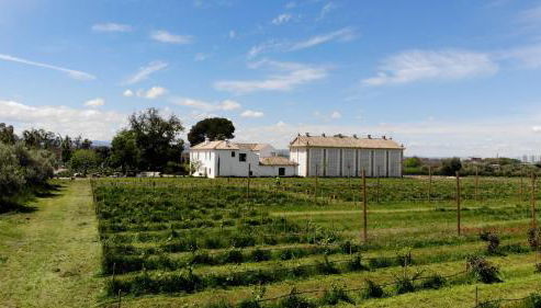Cortijo de la Seda - Foto 3, Garden