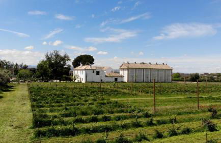 Cortijo de la Seda - Foto 3