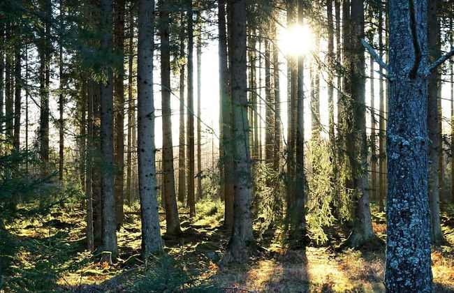 6 Person Holiday Home in Hjortkvarn-by Traum - Foto 27