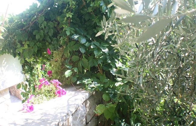 Apartments and Rooms LEA - Photo 77