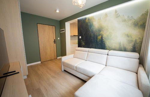 Apartamenty Alegrima - Foto 49