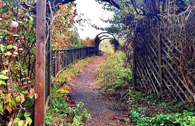 Haeyeorim Village - Foto 34