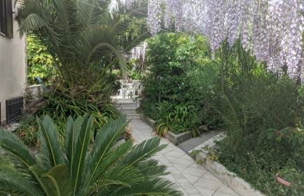 Villa Giulia al Vesuvio - Foto 6