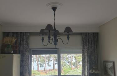 Nisteri Seaside - Photo 13