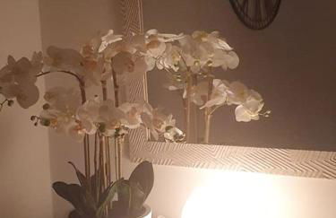 Orchidea Home - Photo 9