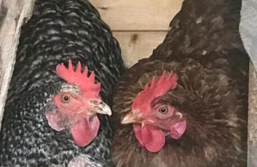 Appartamento A Due Passi - Foto 4