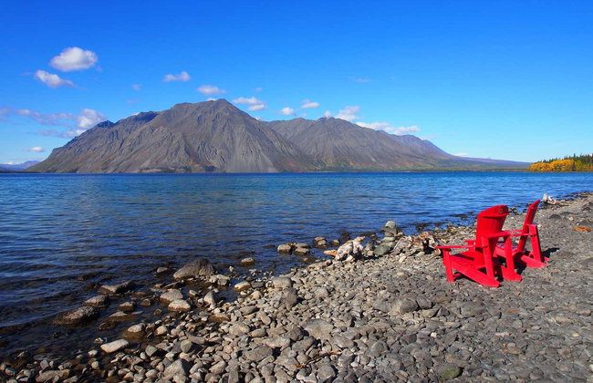Excursión al Parque Nacional de Kluane - Foto 10