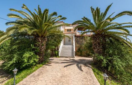 Aloisio's Estate - Foto 35