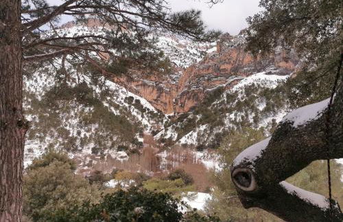 Saluda Alta - Foto 67