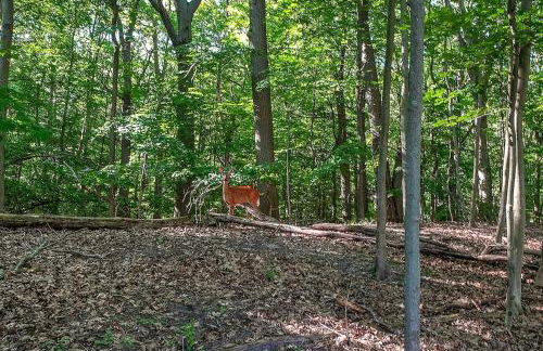 Coastal Comfort Meets Beachside Bliss - Foto 10