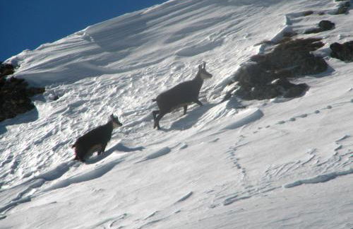 Casa Narciso - Foto 21