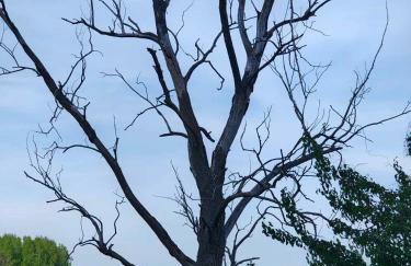 Leśniczówka Zielone Zakole - Foto 38